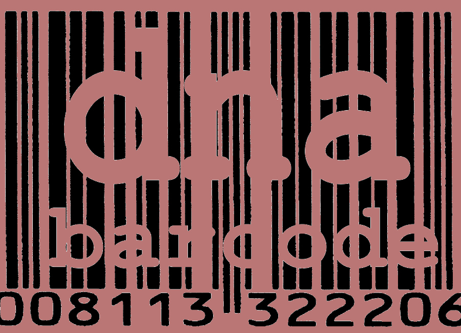 image-alt